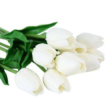 10 szálas gumi tulipán fehér kép