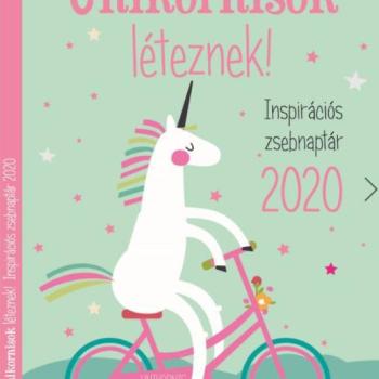 2020 Naptár és Zsebnaptár kép