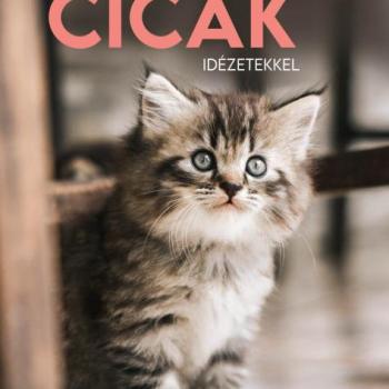 2025 Naptár kép