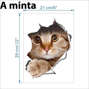 3D Cica Matrica - A minta kép