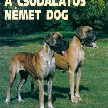 A csodálatos német dog kép