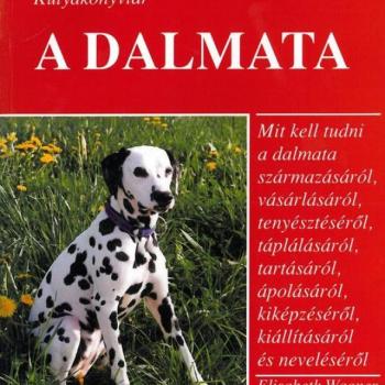 A dalmata kép