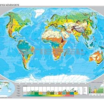 A Föld éghajlata és növényzete kétoldalas óriás fali térképposzter kép