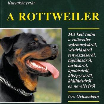 A rottweiler kép