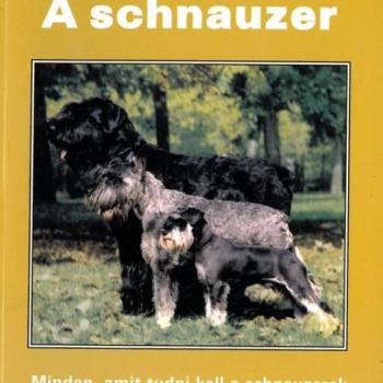 A schnauzer kép