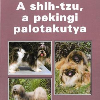 A shih-tzu, a pekingi palotakutya kép