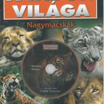 A vadon világa - Nagymacskák kép