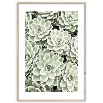 Artbox Digi 50x70 Br009 Succulents kép