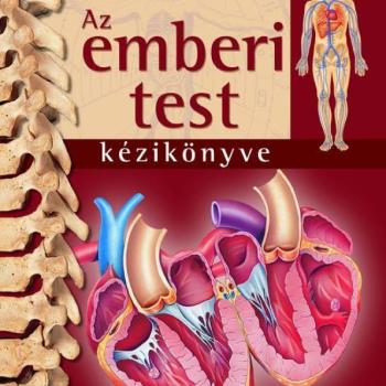 Az emberi test kézikönyve kép