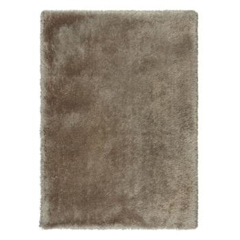 Barna szőnyeg 120x170 cm – Flair Rugs kép