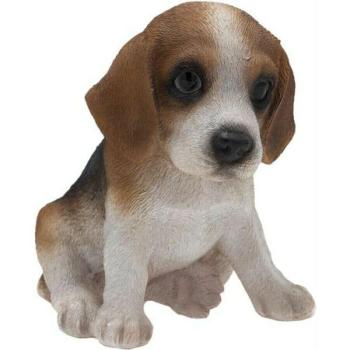 Beagle 12cm, barna-fehér kép