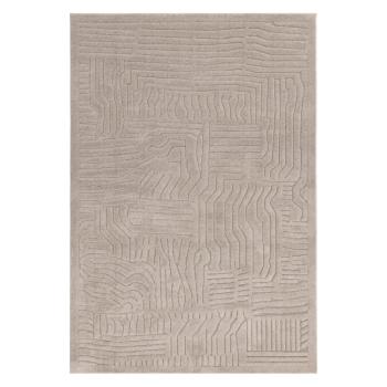 Bézs szőnyeg 120x170 cm Valley – Asiatic Carpets kép