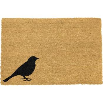 Bird lábtörlő, 40 x 60 cm - Artsy Doormats kép