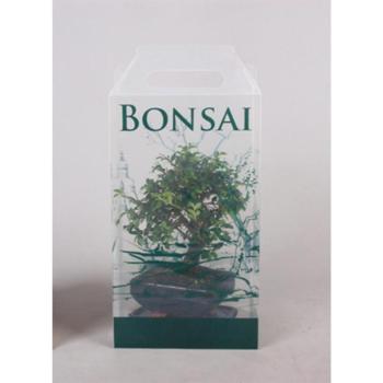 Bonsai Giftpack 12/30 kép