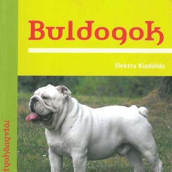 Buldogok kép