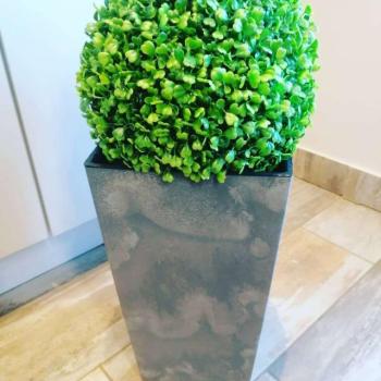 Buxus Műnövény kaspóban 65cm - zöld kép