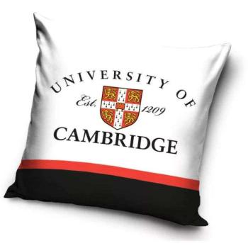 Cambridge párnahuzat 40*40 cm kép