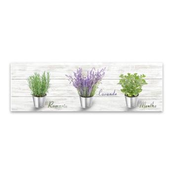 Canvas Shabby Herbs fali kép, 27 x 75 cm - Styler kép