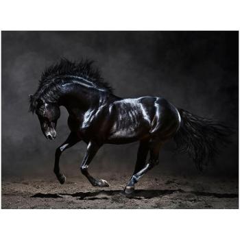 Canvas Silver1 85X113X2,8 EX511 Black Horse kép