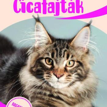Cicafajták - A világ különleges macskái kép