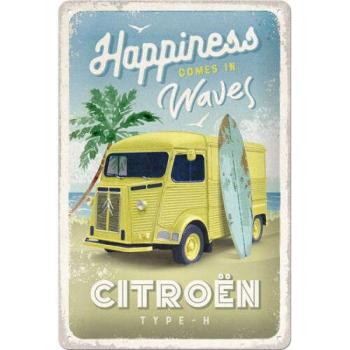 Citroen Type H - Beach Fémtábla kép