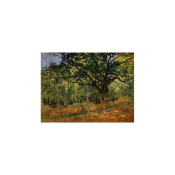 Claude Monet - The Bodmer Oak, Fontainebleau Forest kép másolat, 70 x 50 cm kép