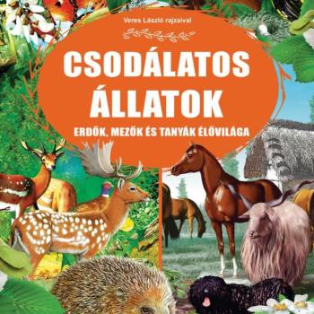 Csodálatos állatok - erdők, mezők,és tanyák élővilága kép