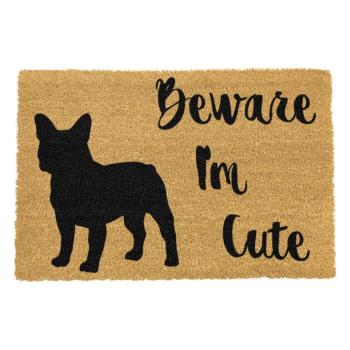 Cute French lábtörlő, 40 x 60 cm - Artsy Doormats kép