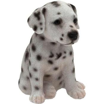 Dalmata 13cm kép