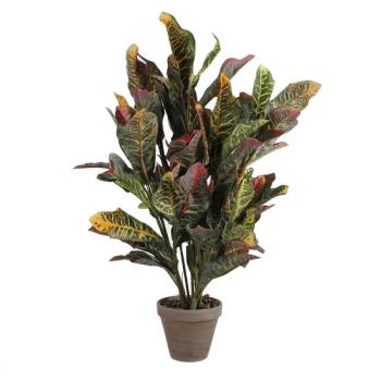 Dekor növény Mica Decorations Croton Zöld PVC (73 x 40 cm) kép