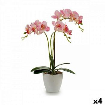 Dekor növény Orchidea Műanyag 20 x 49 x 26 cm (4 egység) kép