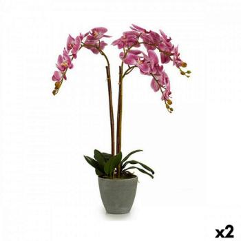 Dekor növény Orchidea Műanyag 33 x 77 x 33 cm (2 egység) kép