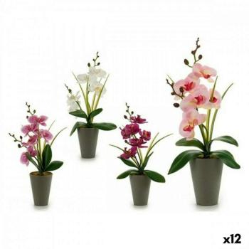 Dekor növény Orchidea Műanyag 8 x 35 x 14 cm (12 egység) kép