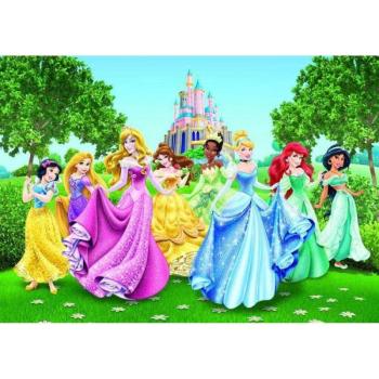 Disney Hercegnők óriás poszter 360 cm x 255 cm - babaszoba faldek... kép