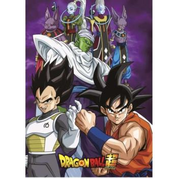 Dragon Ball polár takaró team 100x140cm kép