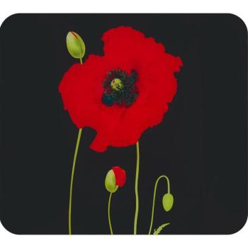 Edzett üveg falvédő tűzhelyhez 50x56 cm Poppy – Maximex kép