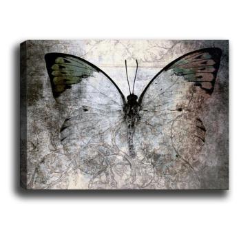 Fading Butterfly kép, 70 x 50 cm - Tablo Center kép