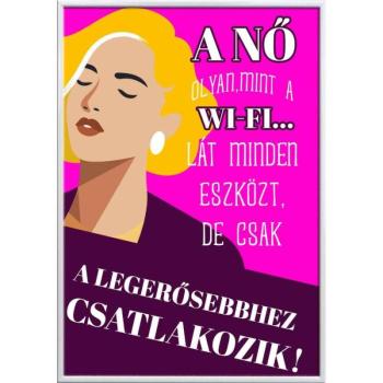 Falikép – A nő olyan, mint a wifi...csak a legerősebbhez csatlako... kép