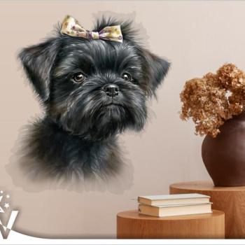 Falmatrica - Affenpinscher kölyök kiskutya kép