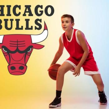 Falmatrica - Chicago Bulls kép