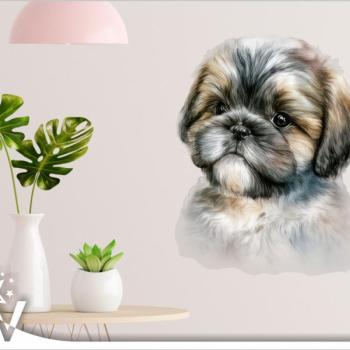 Falmatrica - Shih tzu kölyök kiskutya kép