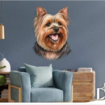 Falmatrica - Yorkshire Terrier - Yorkie kép