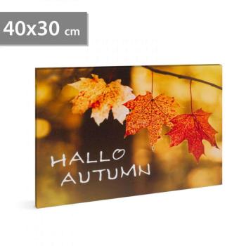 Family Decor LED-es fali hangulatkép - &quot;Hello ősz&quot; - 2 x AA, 40 x... kép