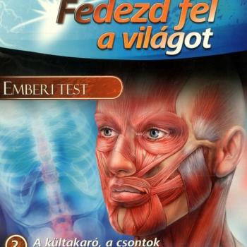 Fedezd fel a világot 2. - A kültakaró, a csontok és az izomrendszer kép