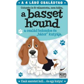 Fém ajtótábla  Basset hound kép