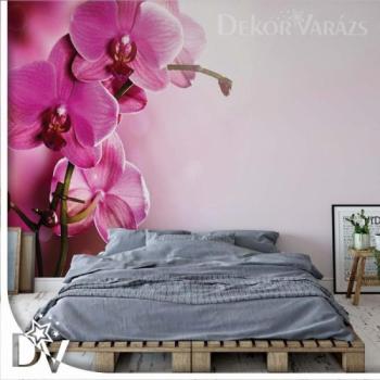 Fotótapéta - Pink Orchideákkal virágok kép