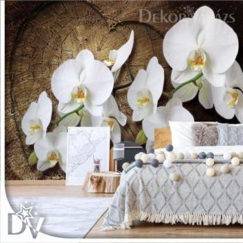 Fotótapéta - Virágok fehér orchideák fa háttérrel kép