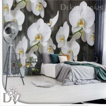 Fotótapéta - Virágok fehér orchideák kép
