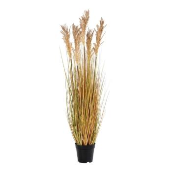 Fű műnövény (magasság 110 cm) Sorghum – House Nordic kép