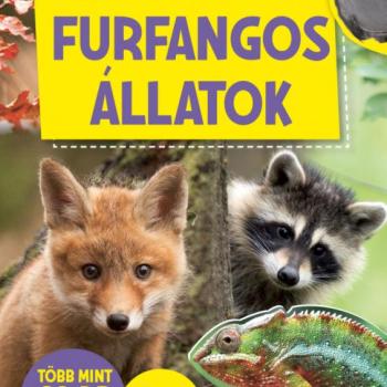 Furfangos állatok kép